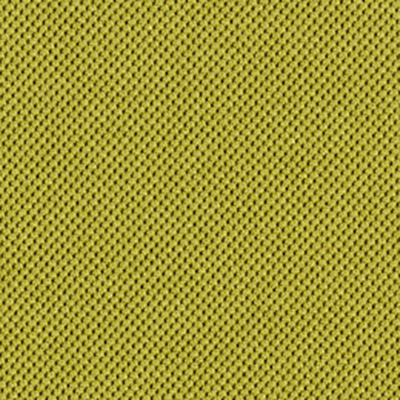 Base Fabric / 05 レモングラス