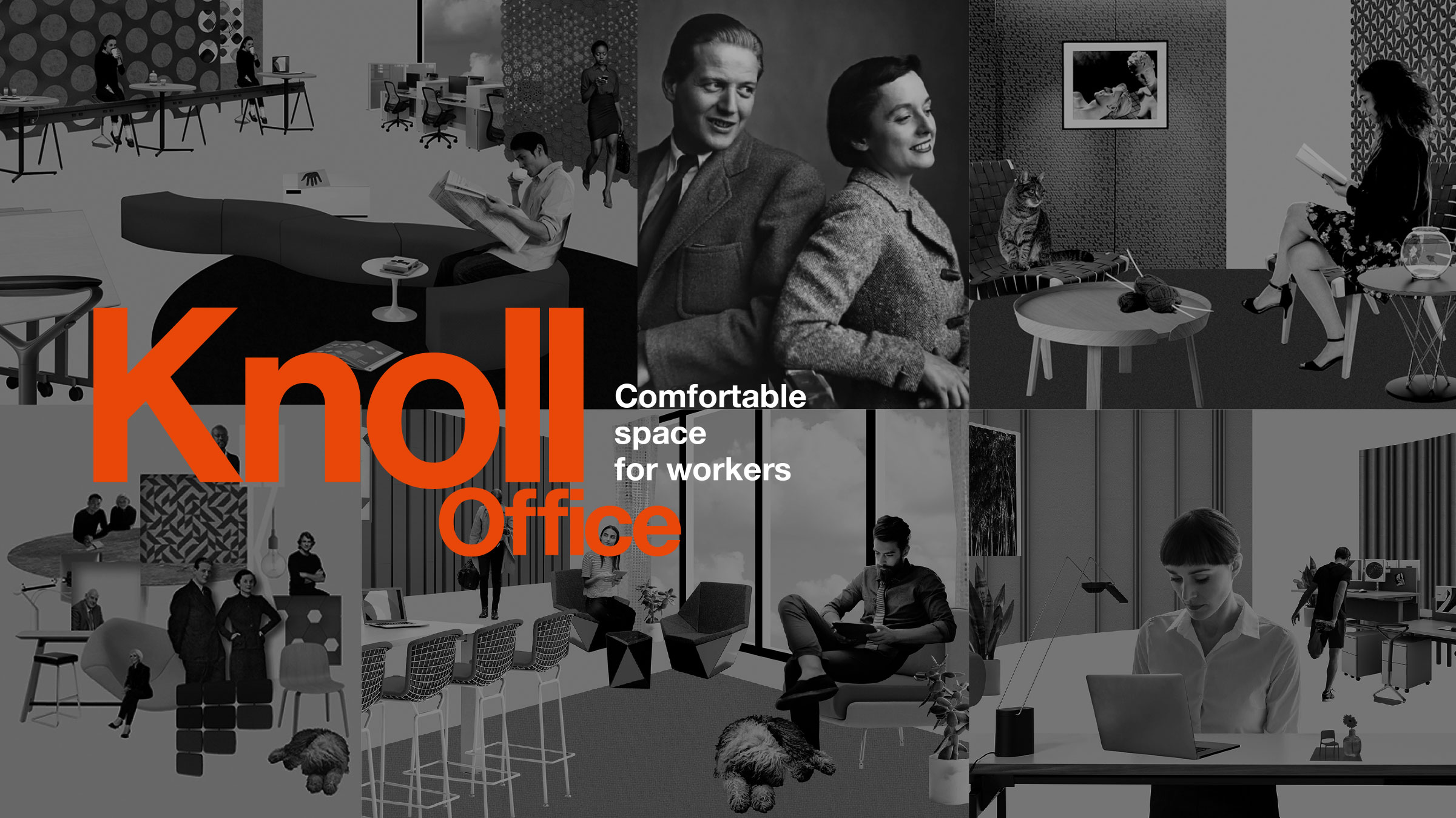 Knoll Office  Comfortable space for workers