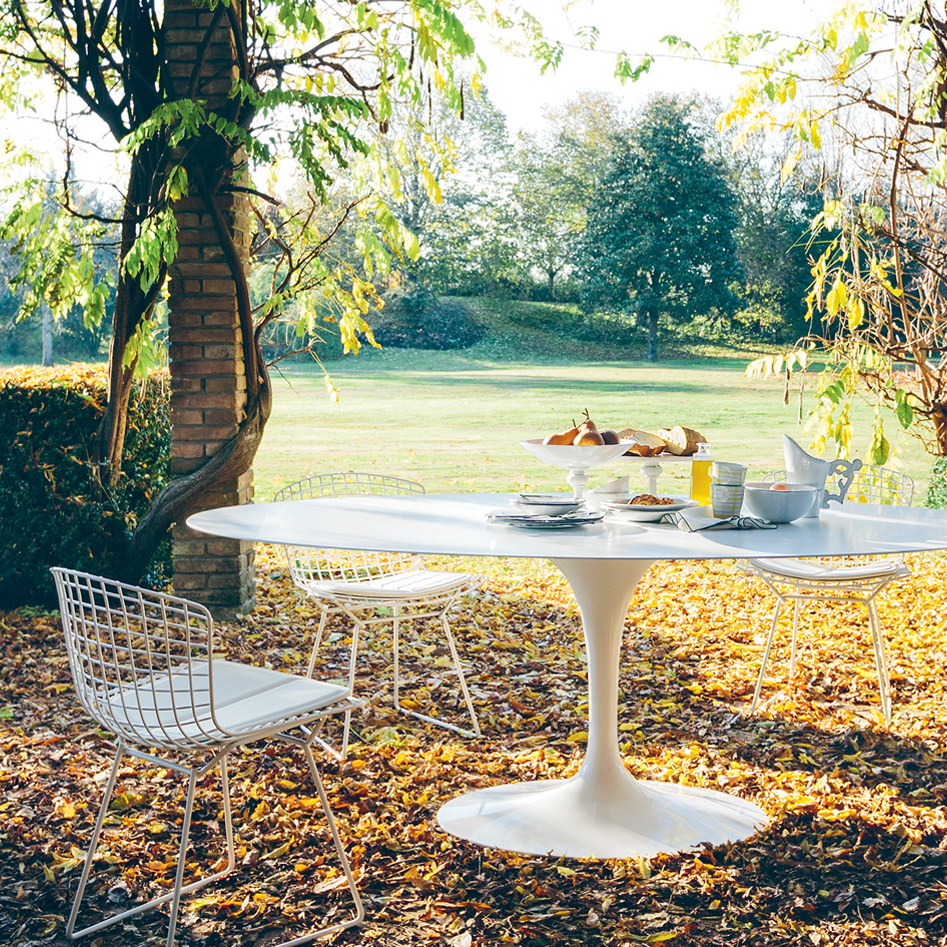 [ Outdoor ] Bertoia Collection Side Chair 