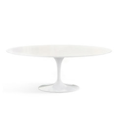 [Outdoor] Saarinen Collection Oval dining table