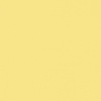 ベルディングレザー / Light Yellow BL1909